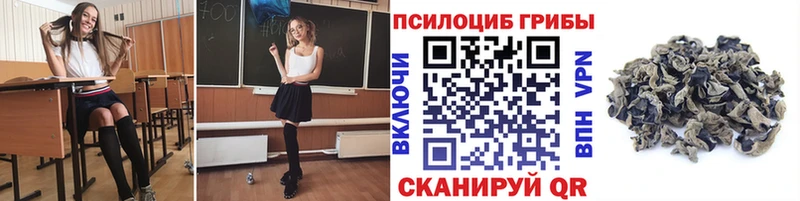 Купить где  Макушино  Галлюциногенные грибы MAGIC MUSHROOMS 